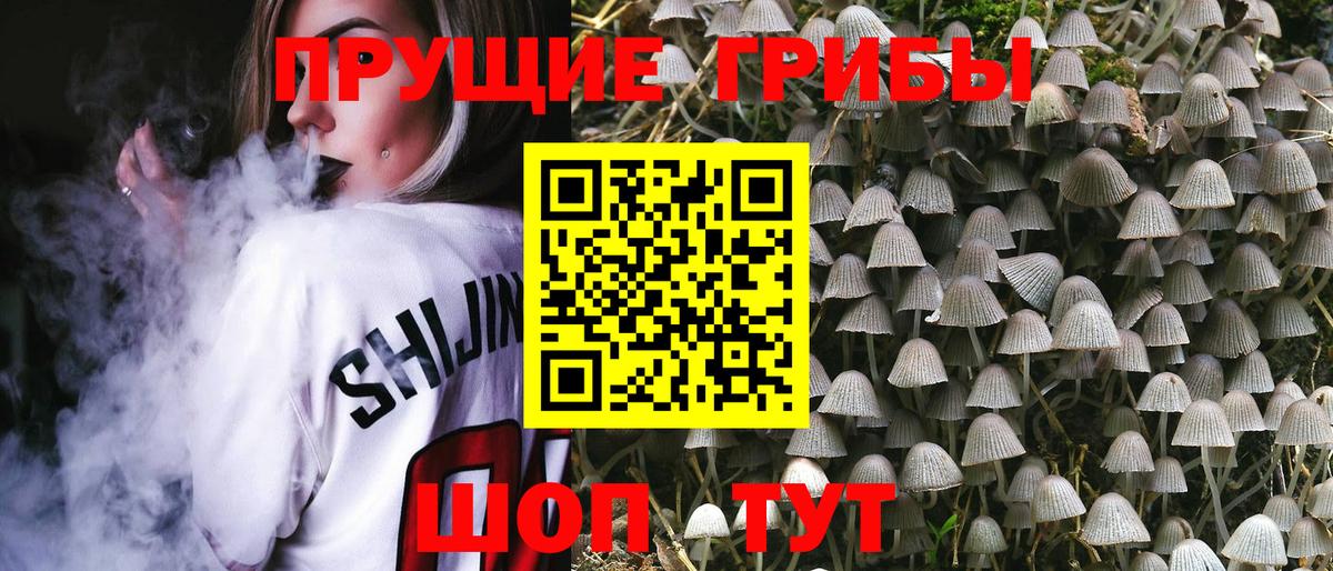 Псилоцибиновые грибы MAGIC MUSHROOMS Домодедово