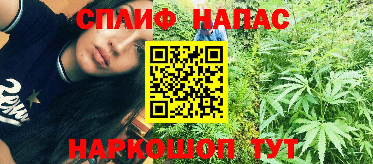 Шишки марихуана тримм  Вход с VPN  Домодедово  МАРИХУАНА MAZAR  МАРИХУАНА семена 